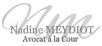 Logo Ma&icirc;tre Meydiot Nadine