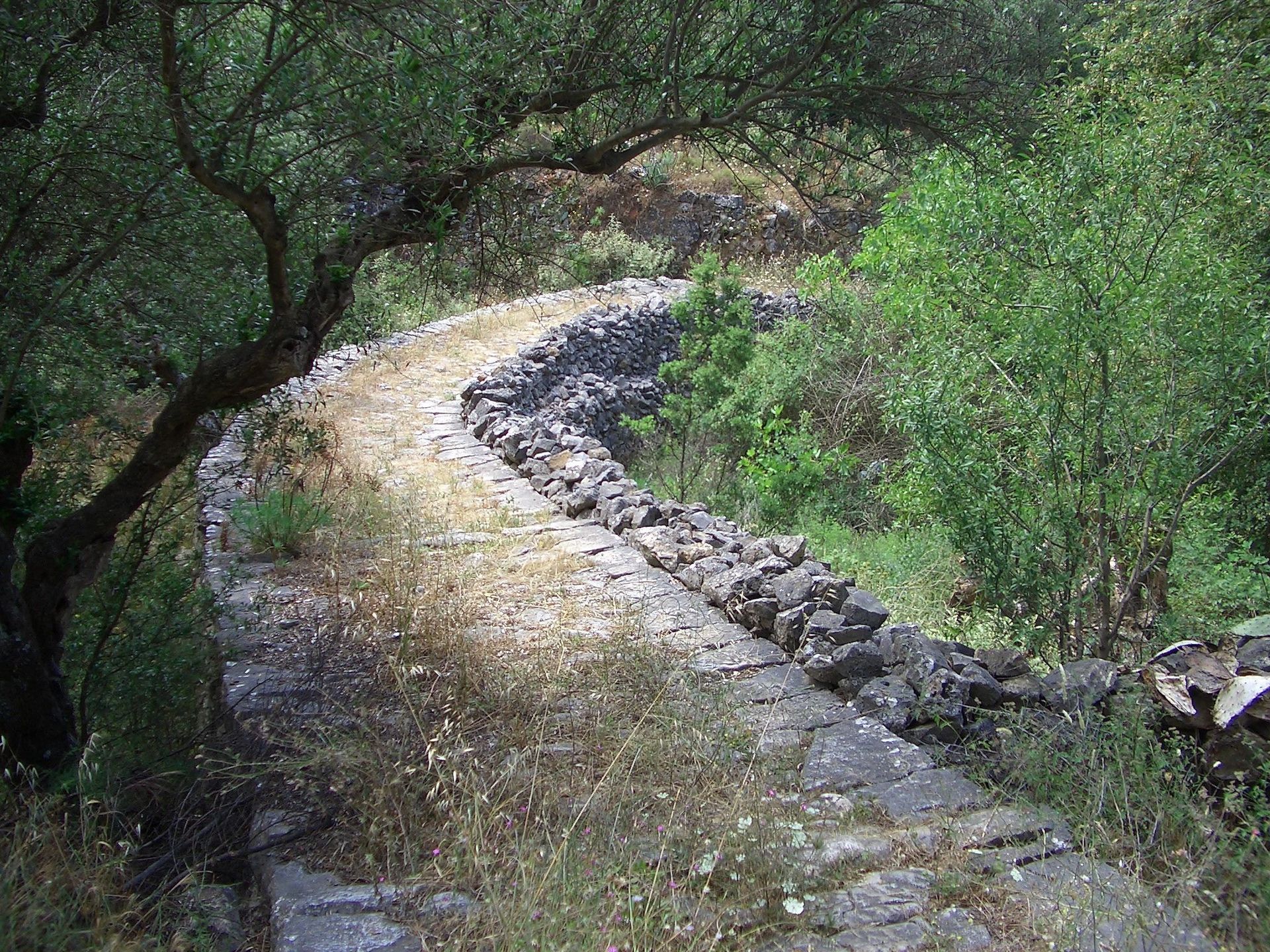 Viala Alexandre|Lausanne