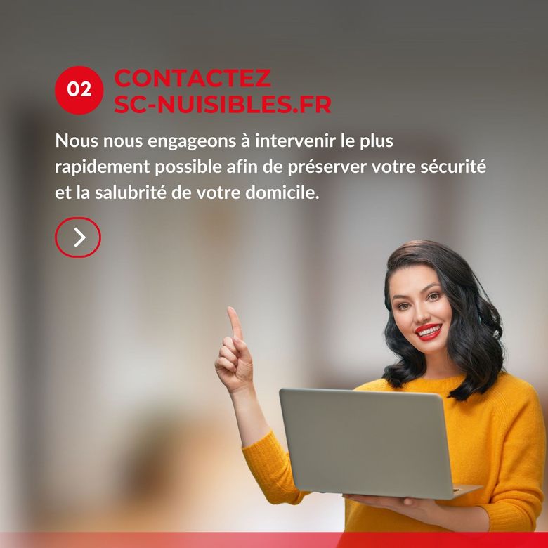 Contactez SC NUISIBLES