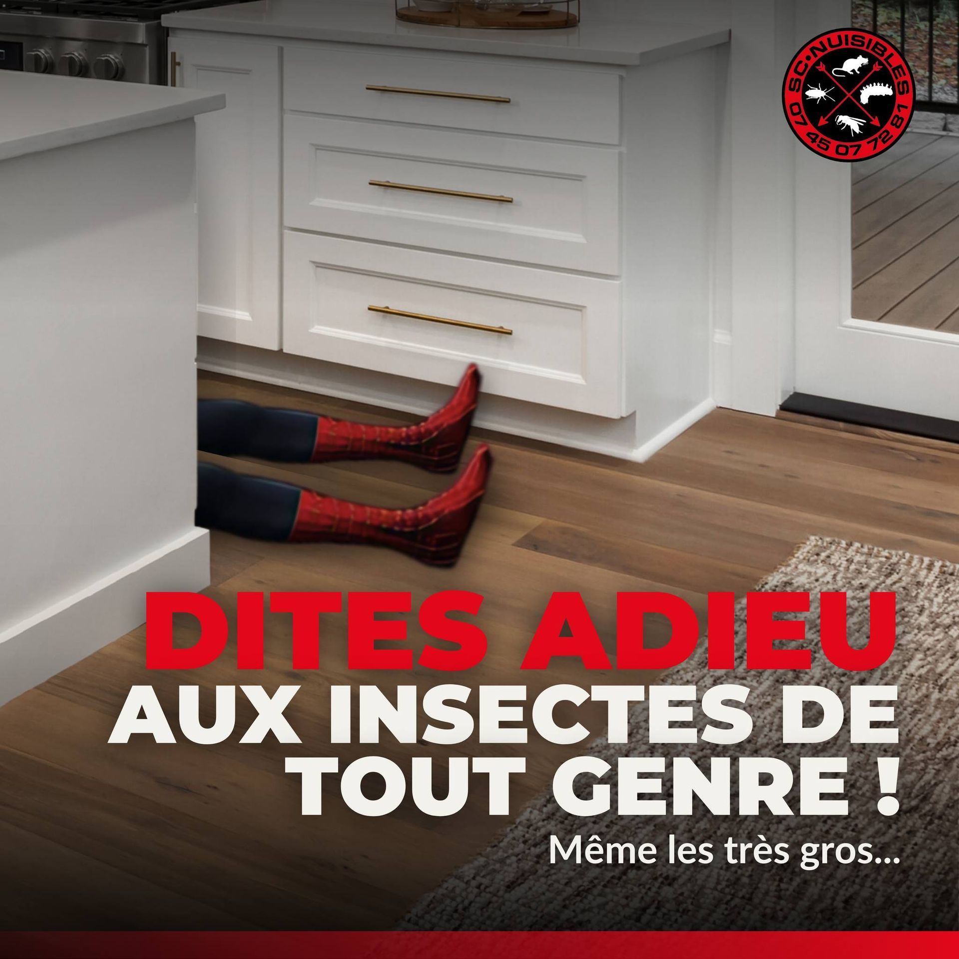 Affiche sur un service de désinsectisation