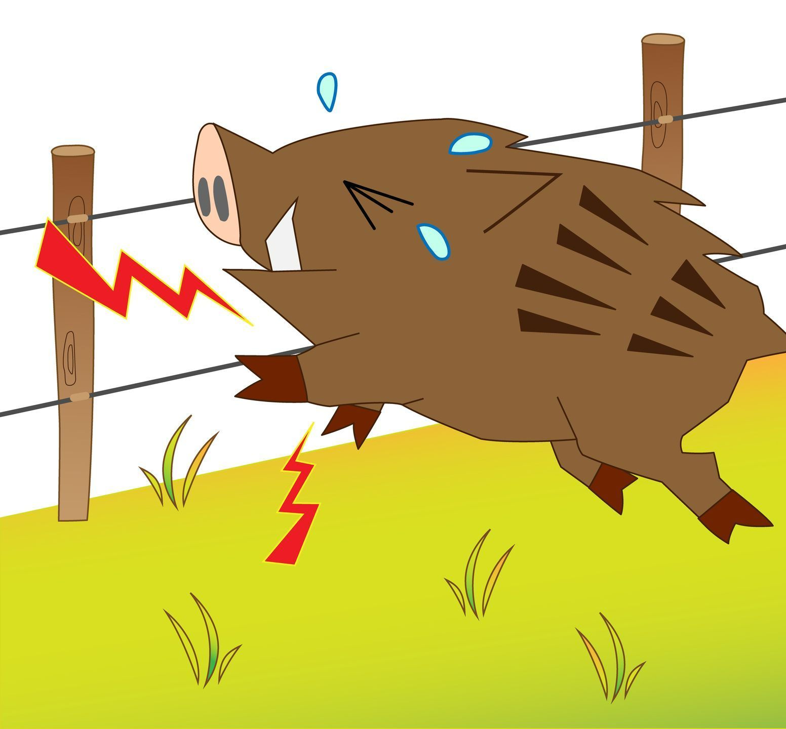 Un dessin de sanglier