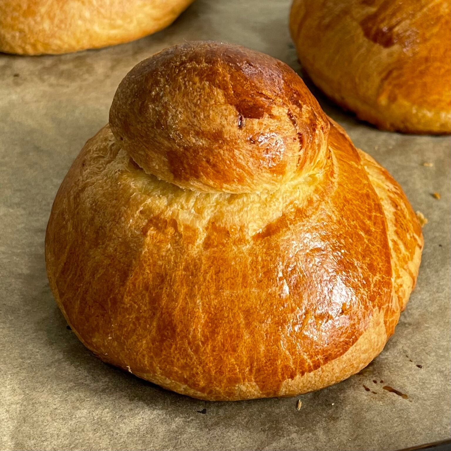 Brioche col tuppo - brioche siciliana