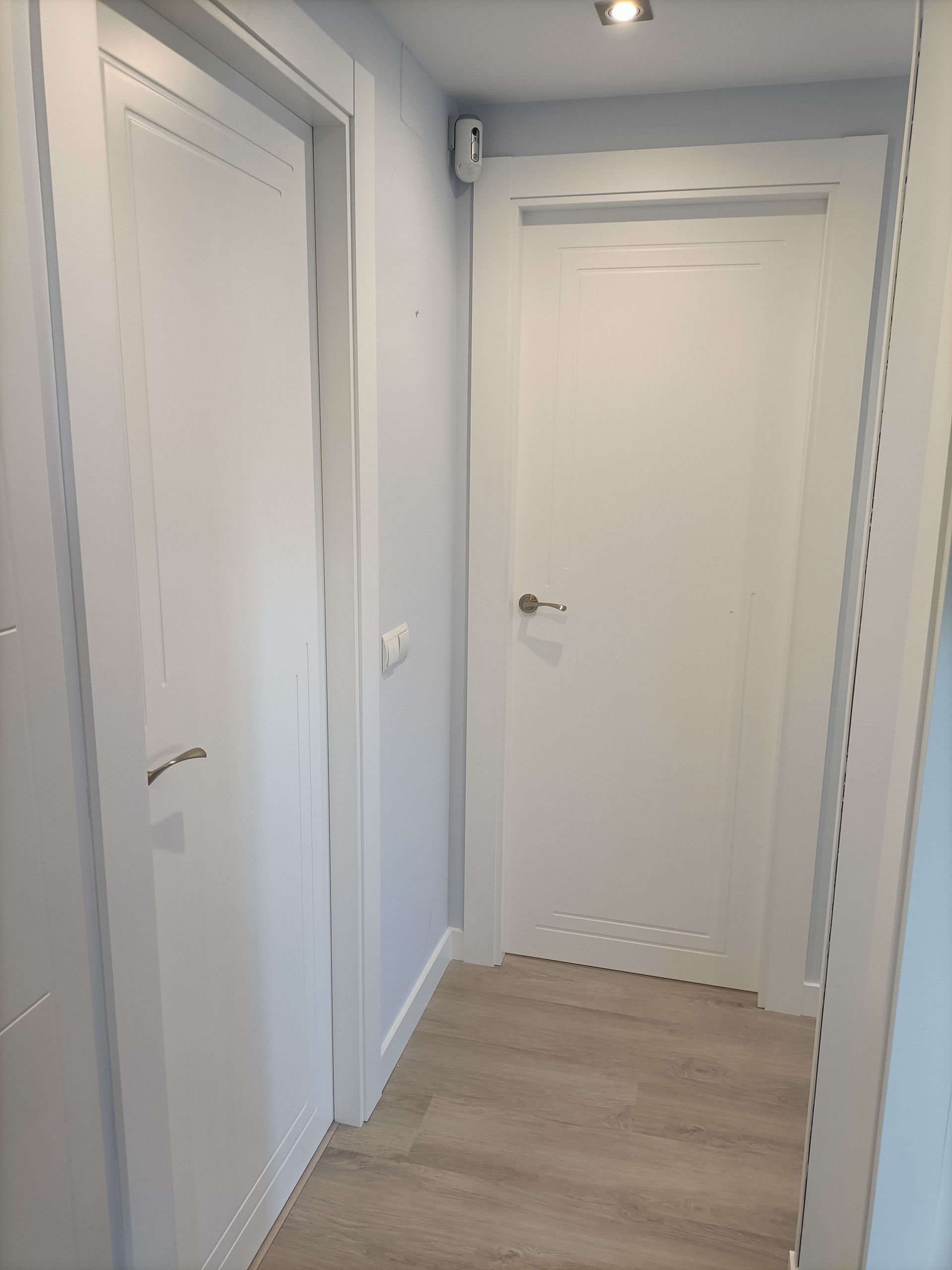 Un pasillo con dos puertas blancas y suelo de madera.
