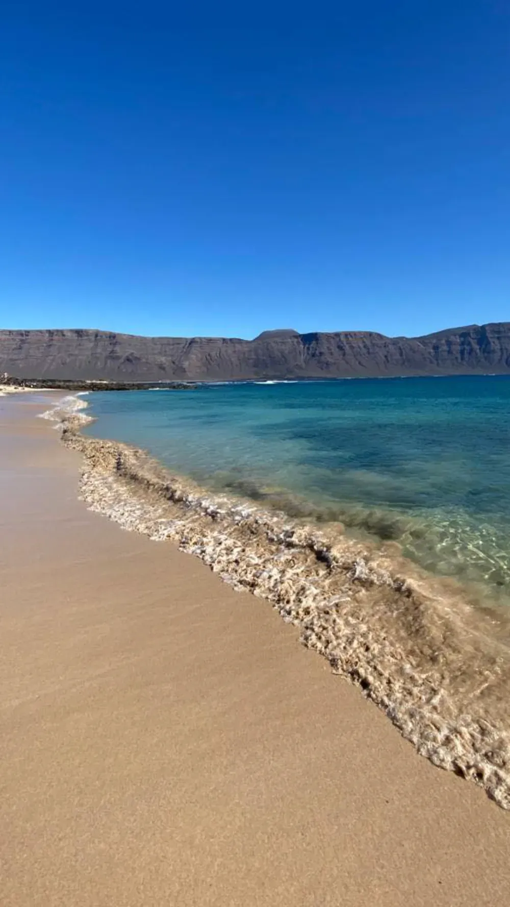 Una playa de arena con una hilera de conchas marinas a lo largo de la orilla, que se funde con un mar azul cristalino bajo un cielo despejado.
