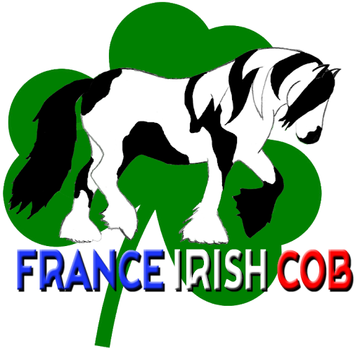 Logo de l'entreprise France Irish Cob.