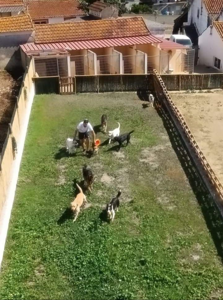 Foto da galeria de Pet Hotel, Quinta do Vale da Lena