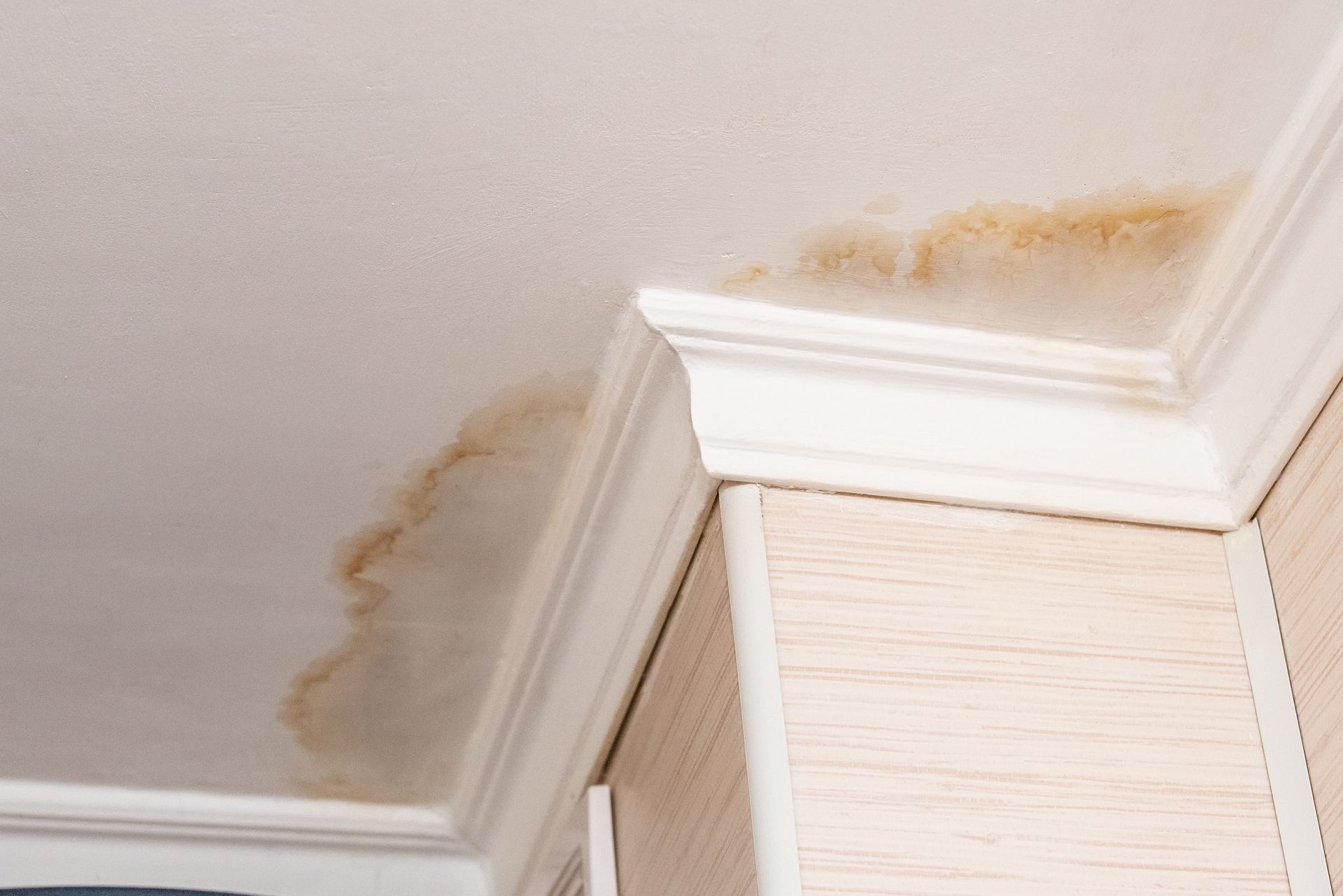 Traces d'humidité sur un plafond.