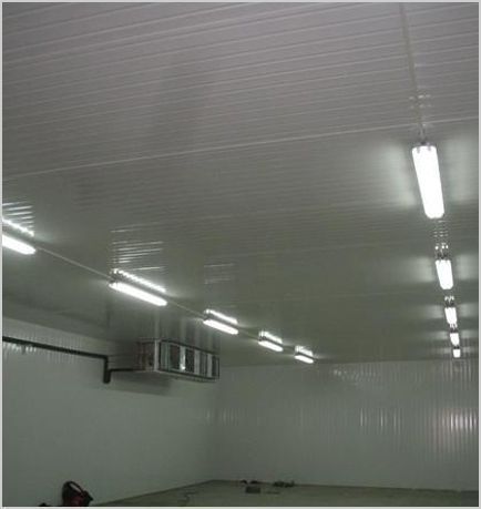 Una habitación con techo blanco y muchas luces.