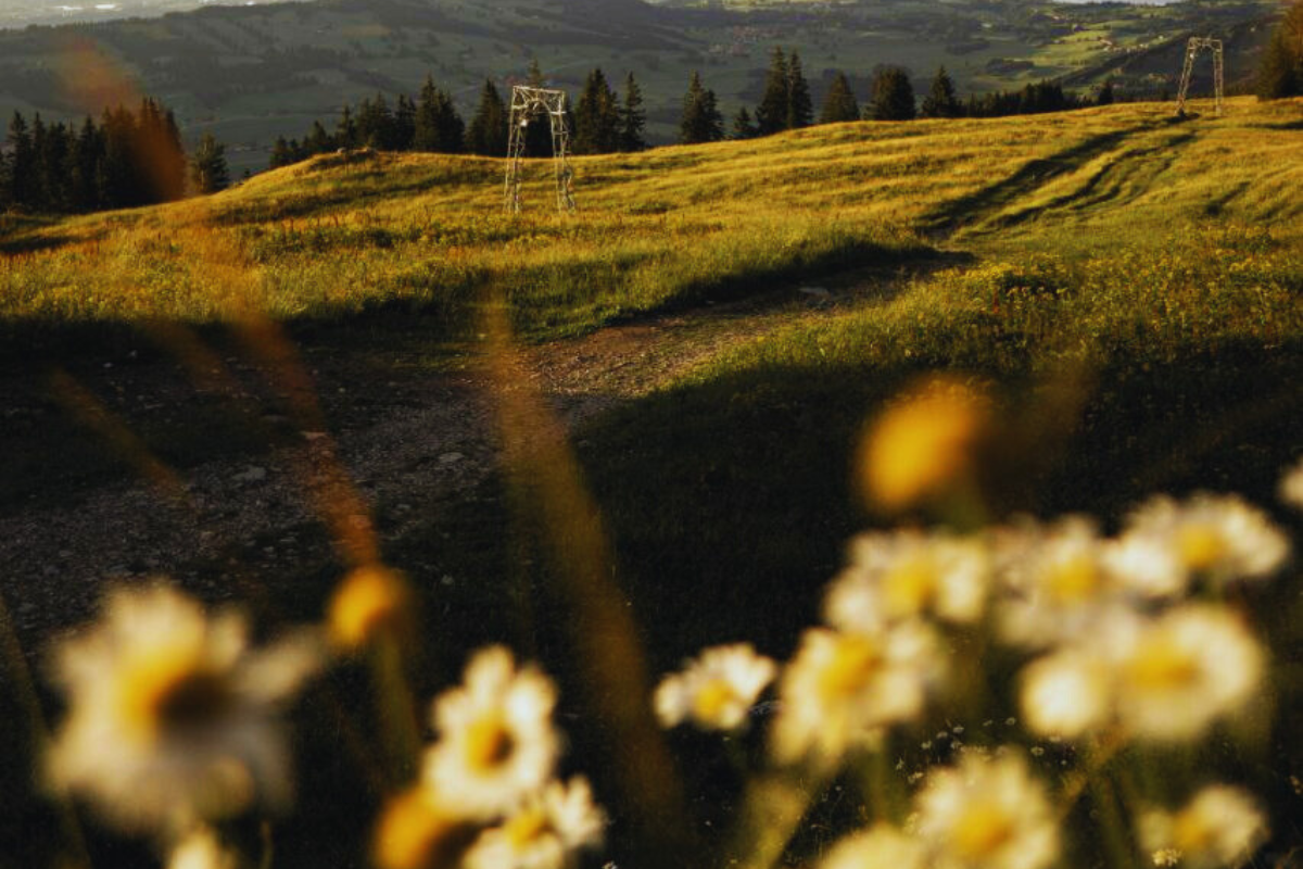 Retreat im Allgäu – persönliche Auszeit für Frauen mit 1:1-Begleitung, Ruhe, Rückzug & echter Verbindung in geschütztem Raum