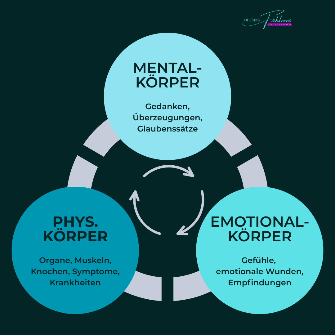 Physischer Körper, Mentalkörper (Verstand), Emotionalkörper (Herz), Energetischer Körper, Seele