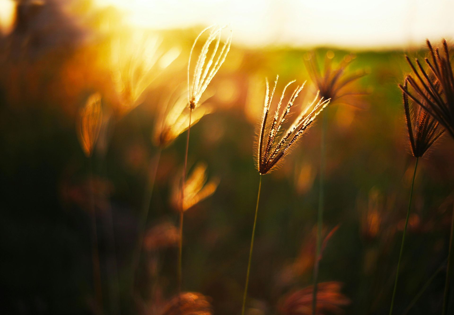 Symptomklarheit – Hand schreibt in Notizbuch