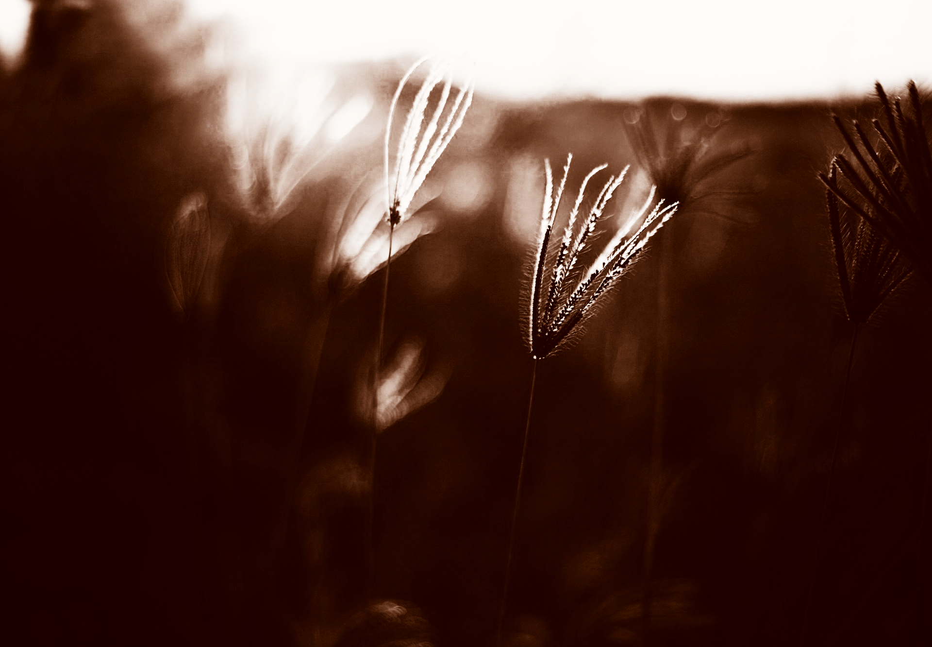 Retreat im Allgäu – persönliche Auszeit für Frauen mit 1:1-Begleitung, Ruhe, Rückzug & echter Verbindung in geschütztem Raum