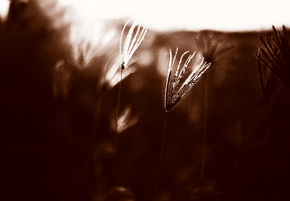 Retreat im Allgäu – persönliche Auszeit für Frauen mit 1:1-Begleitung, Ruhe, Rückzug & echter Verbindung in geschütztem Raum
