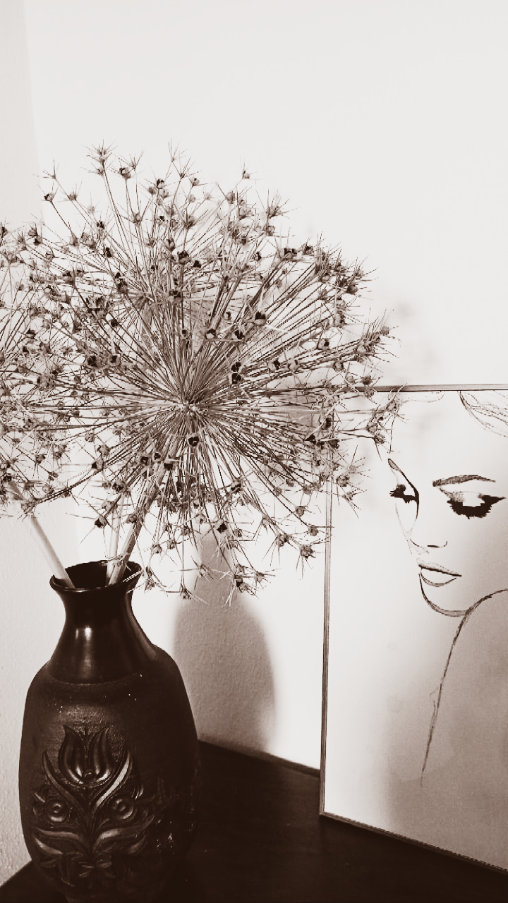 Retreat im Allgäu – persönliche Auszeit für Frauen mit 1:1-Begleitung, Ruhe, Rückzug & echter Verbindung in geschütztem Raum