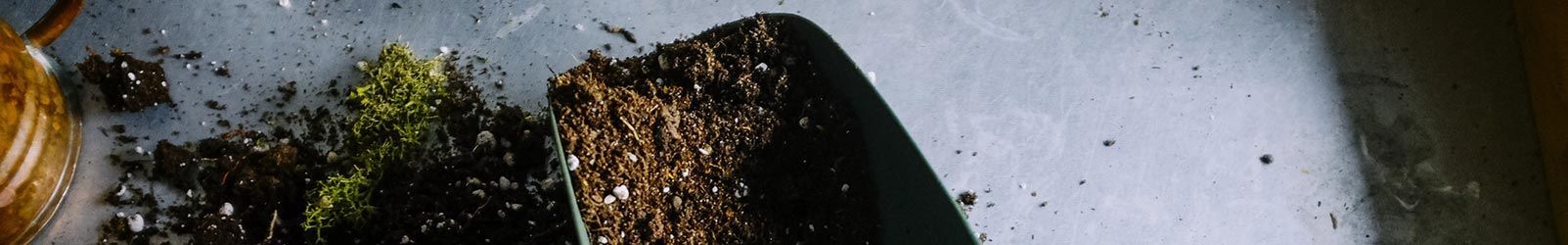 Du terreau et de la mousse reposent sur une surface claire, à côté d'un récipient rectangulaire sombre rempli de terre.