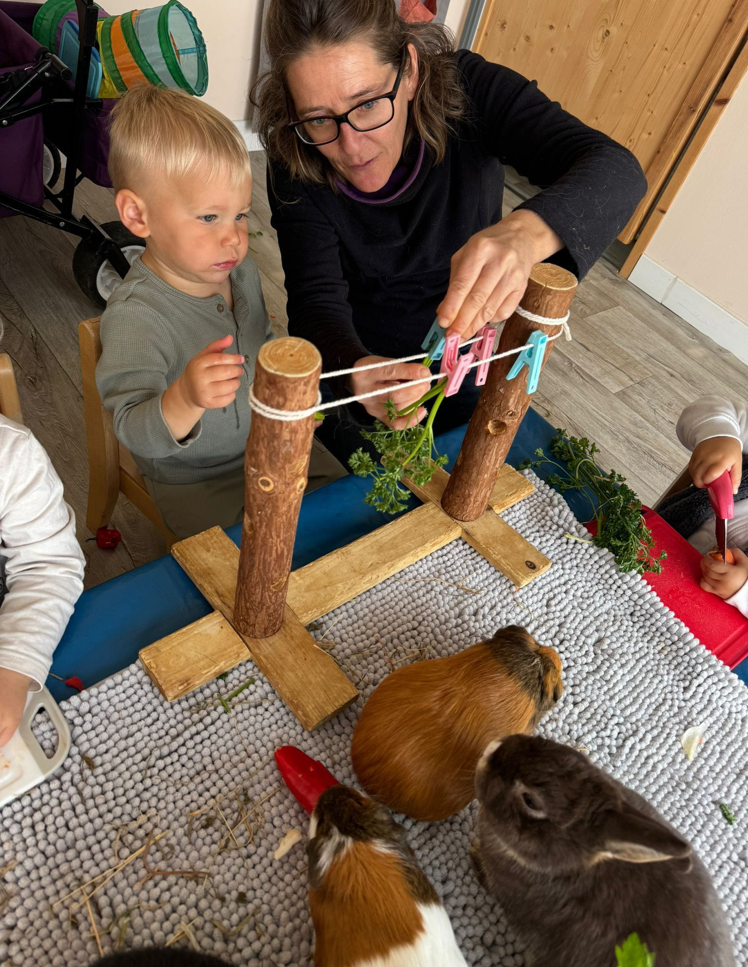 Des enfants et des adultes nourrissent des cobayes avec du persil fixé à des poteaux en bois à l'aide de pinces à linge.