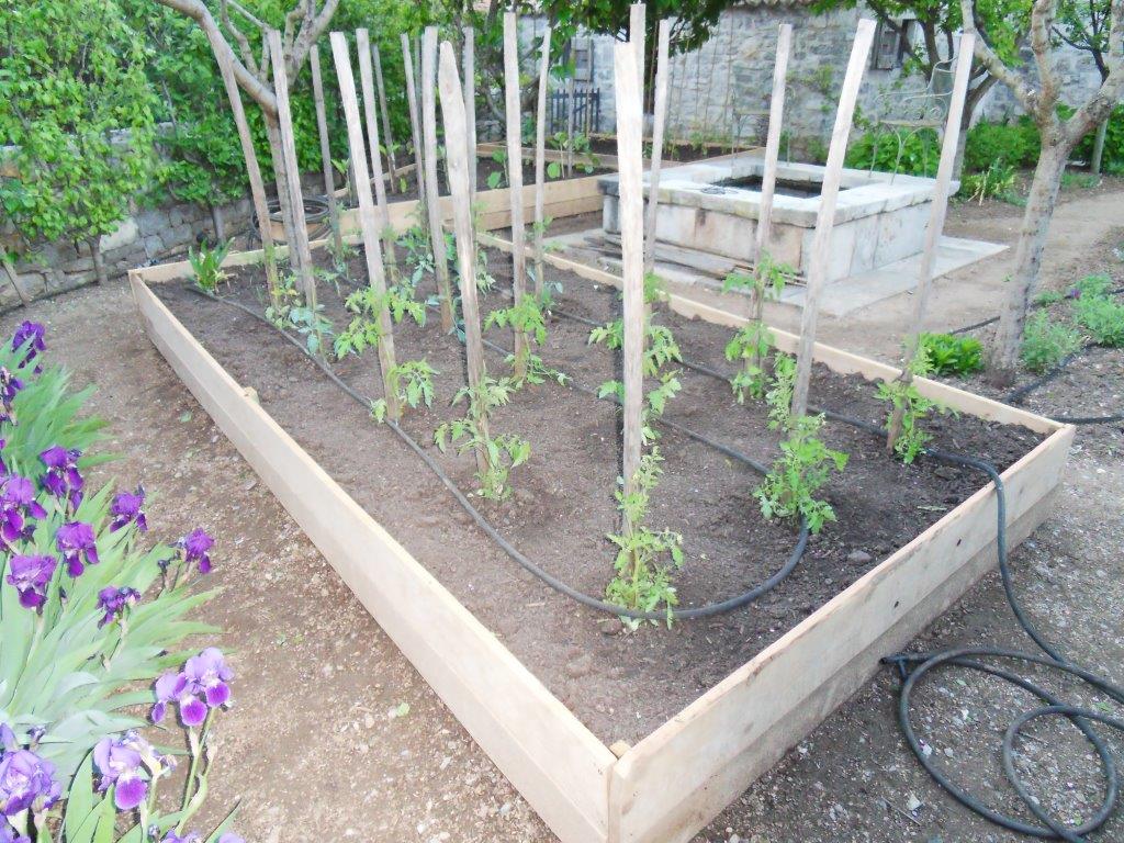 Plantation de fleurs