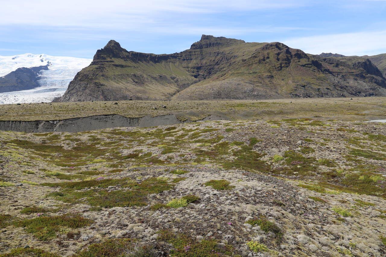 Horft í átt að Bæjarskeri undir Breiðamerkurfjalli. Landnámsbýlið Fjall stóð þar