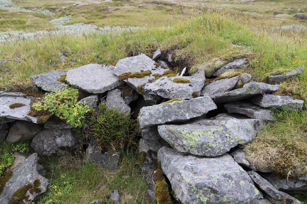 Undir Kambsmýrarkambi stóðu selshús frá Kvískerjum. 