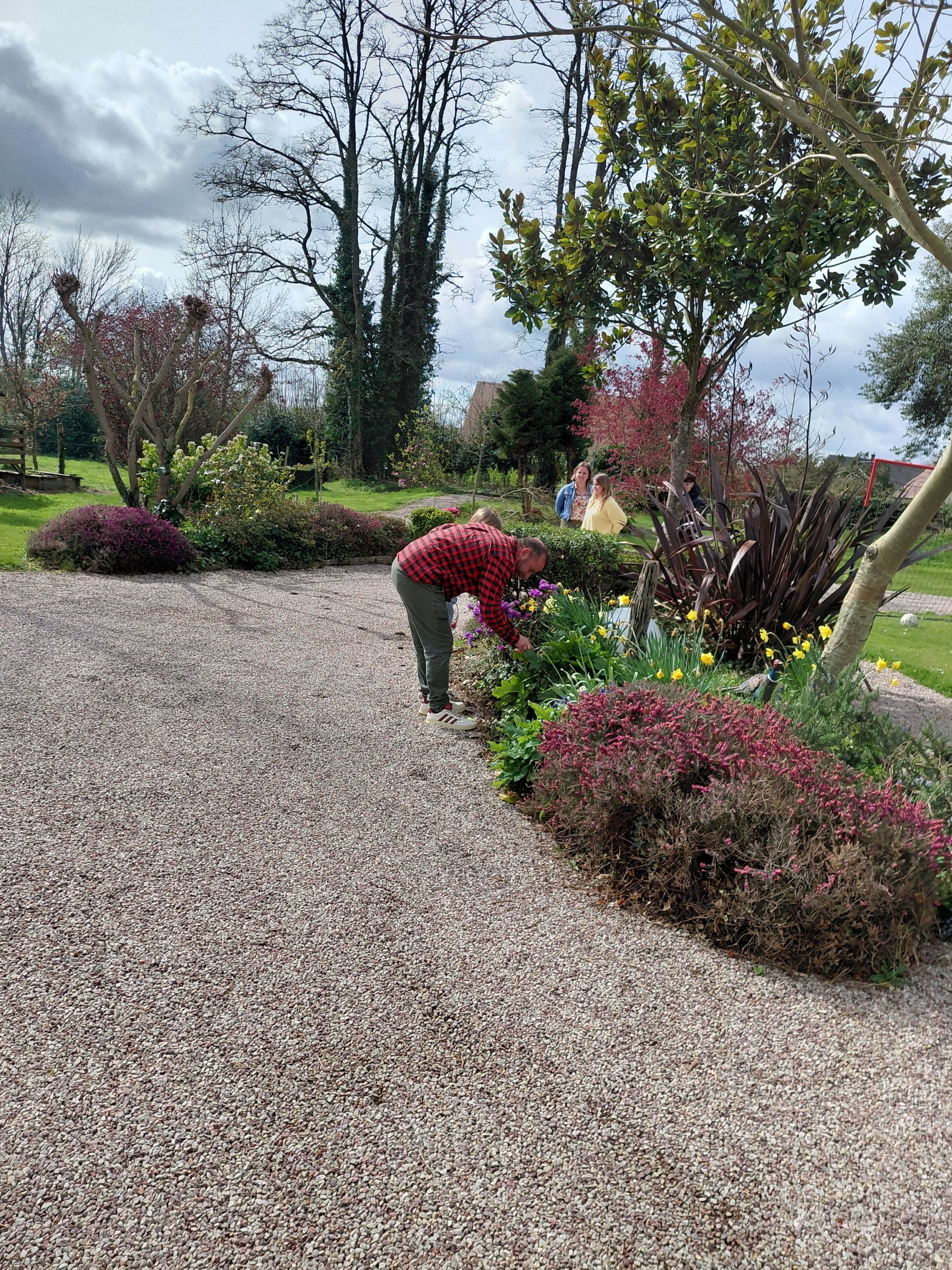 Une personne vêtue d'une chemise rouge jardine dans un parterre de fleurs au bord d'un chemin de gravier par une journée ensoleillée.
