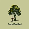 Logo de Bouillard Pascal