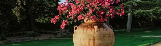 Un gran jarrón lleno de flores rosas se encuentra sobre un exuberante campo verde.