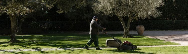 Un hombre está cortando el césped con una cortadora de césped en un parque.
