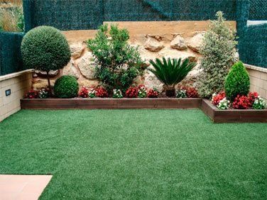 Un jardín con muchas plantas y flores.