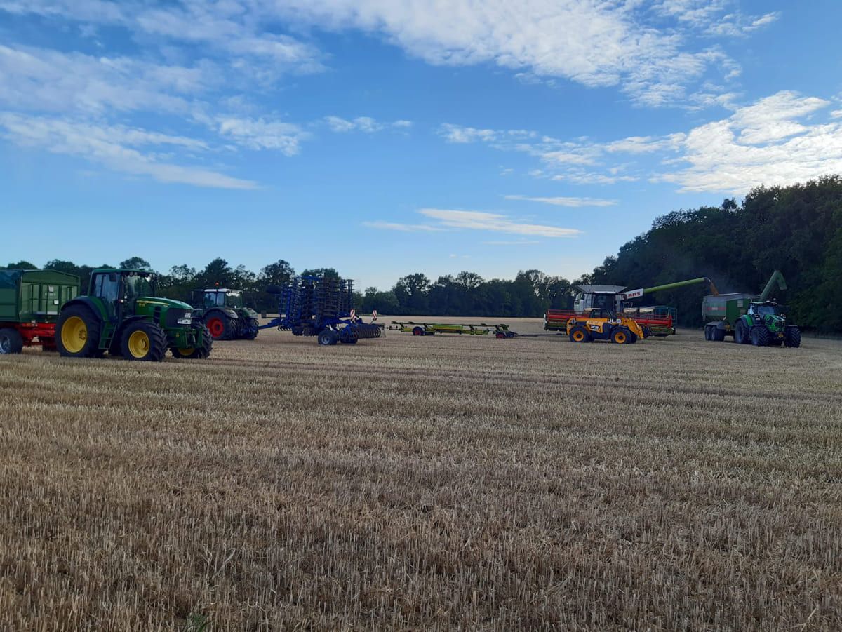 Landwirtschaft in Rochau