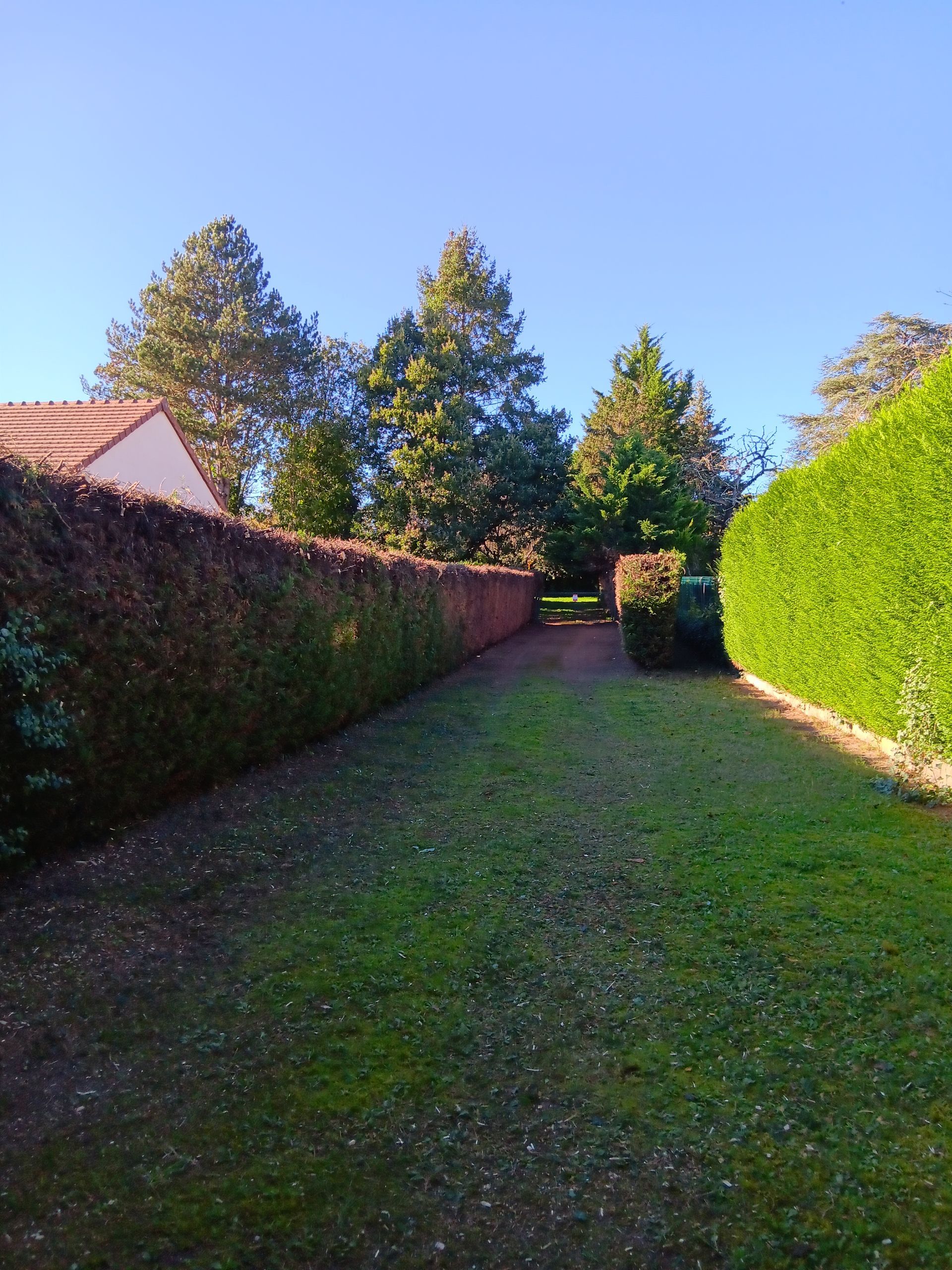 Terrain défriché et haie taillée