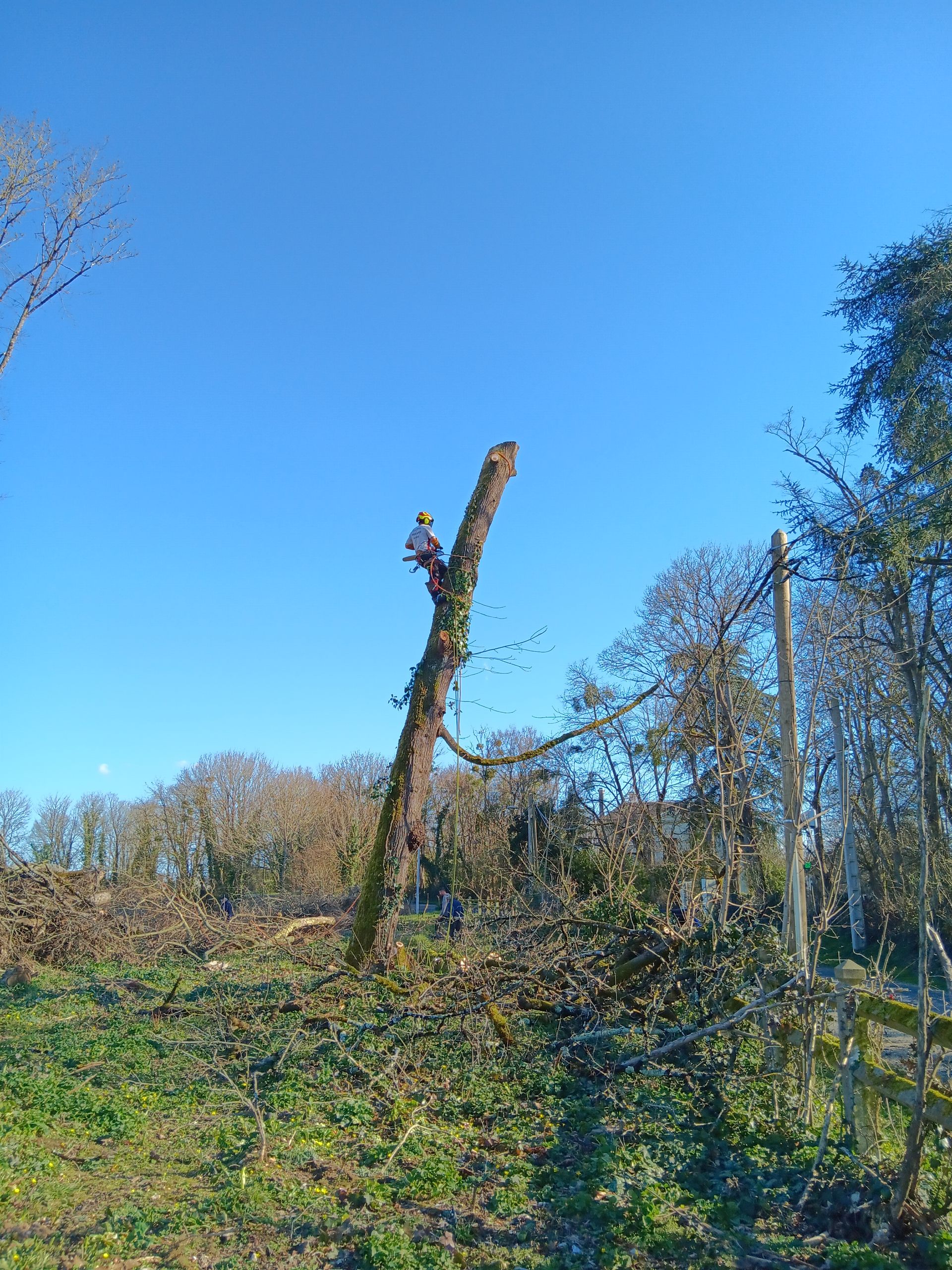 Grimpeur sur le reste d'un tronc d'arbre