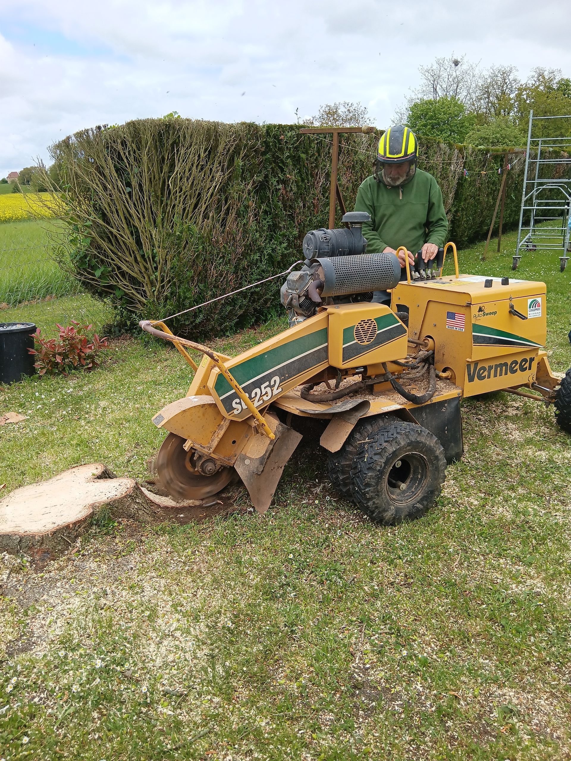 Rognage d'une souche d'arbre