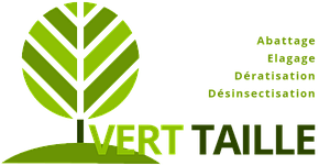 Logo de l'entreprise Vert Taille