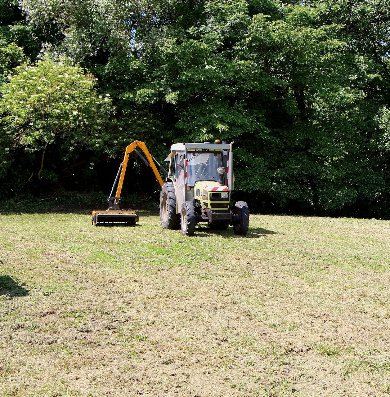 Défrichage d'un terrain arboré