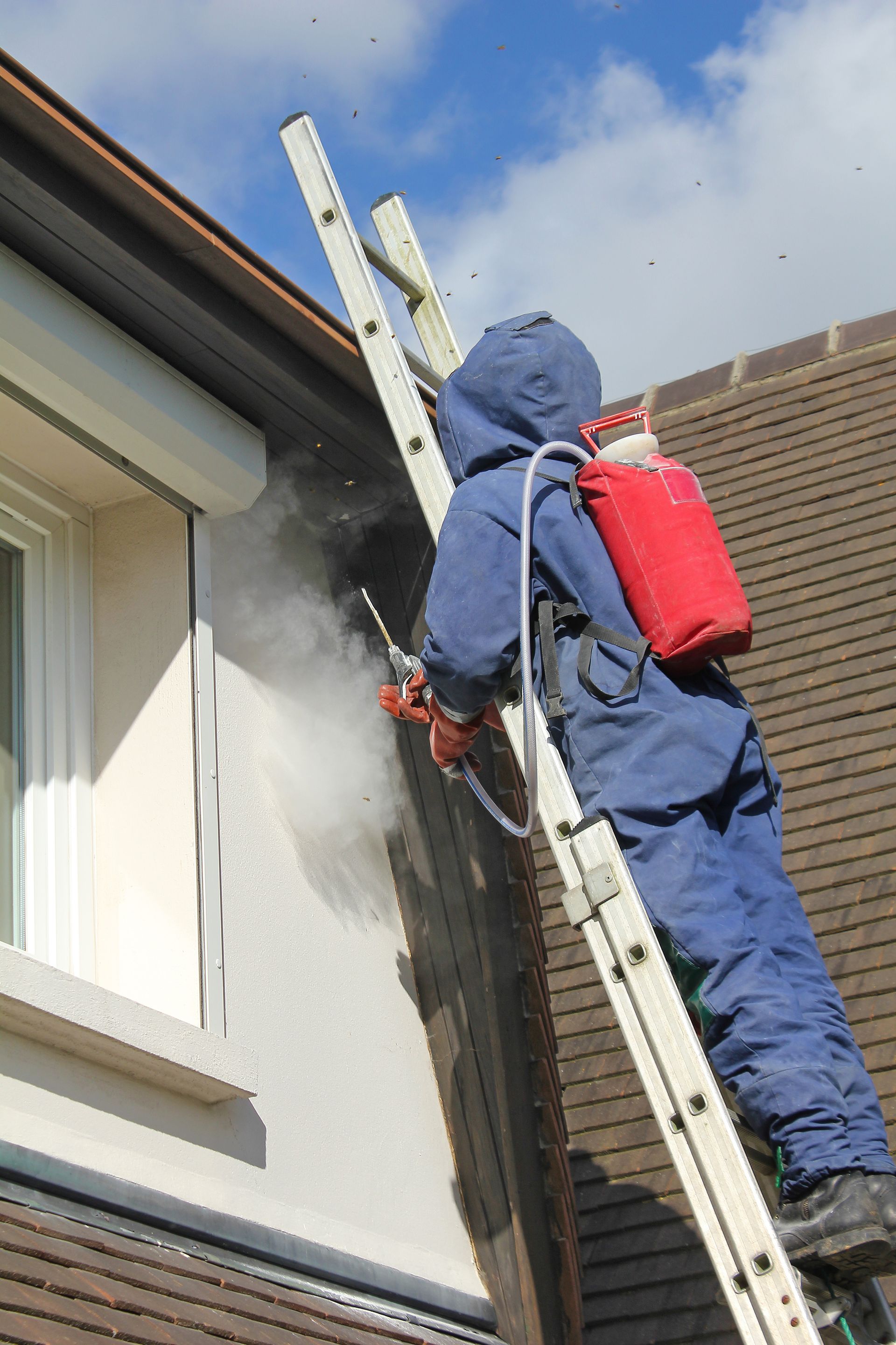 Traitement contre un nid de guêpes