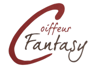Coiffeur Fantasy Liselotte Locher-logo
