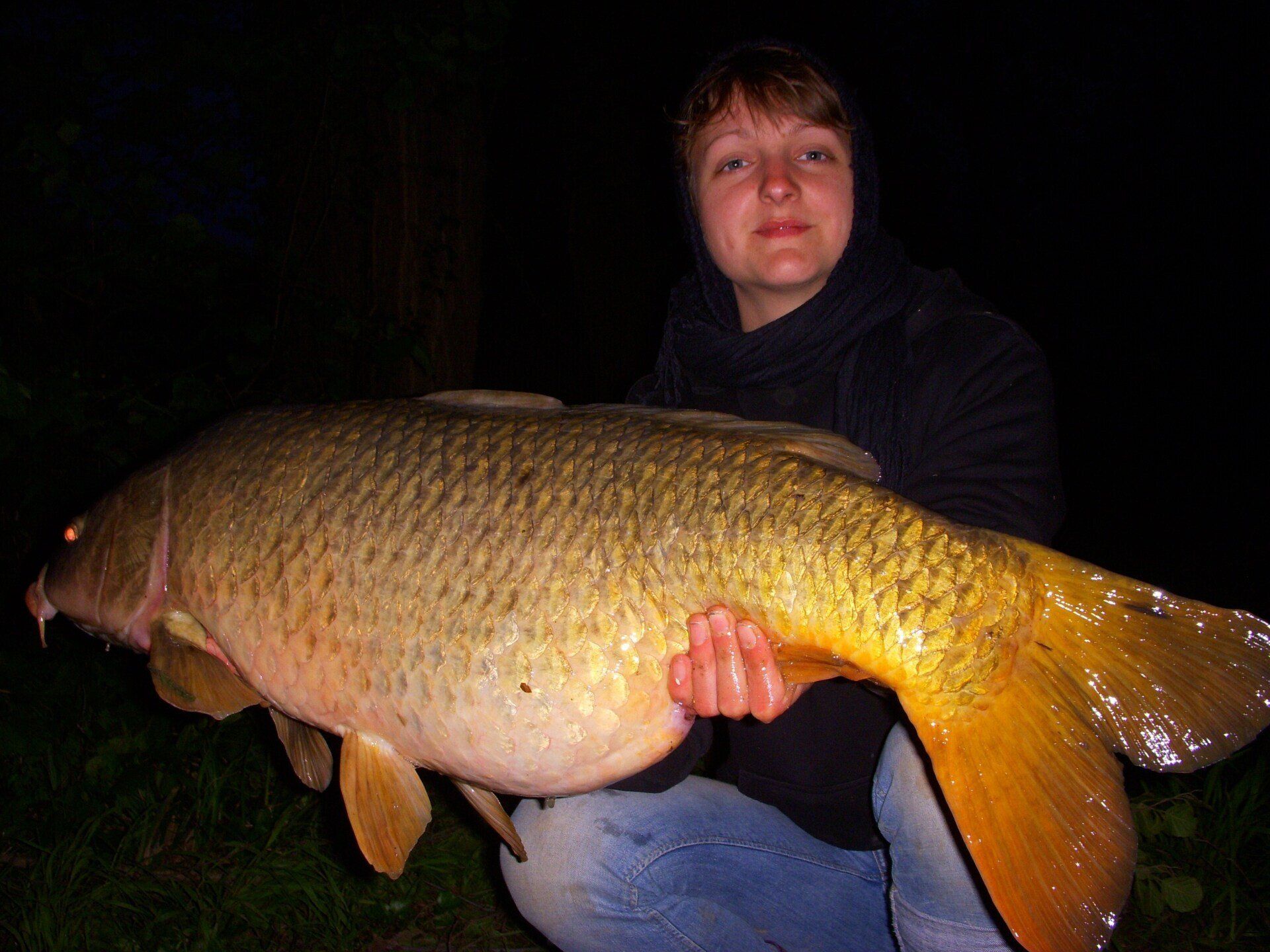 Carpe de taille importante