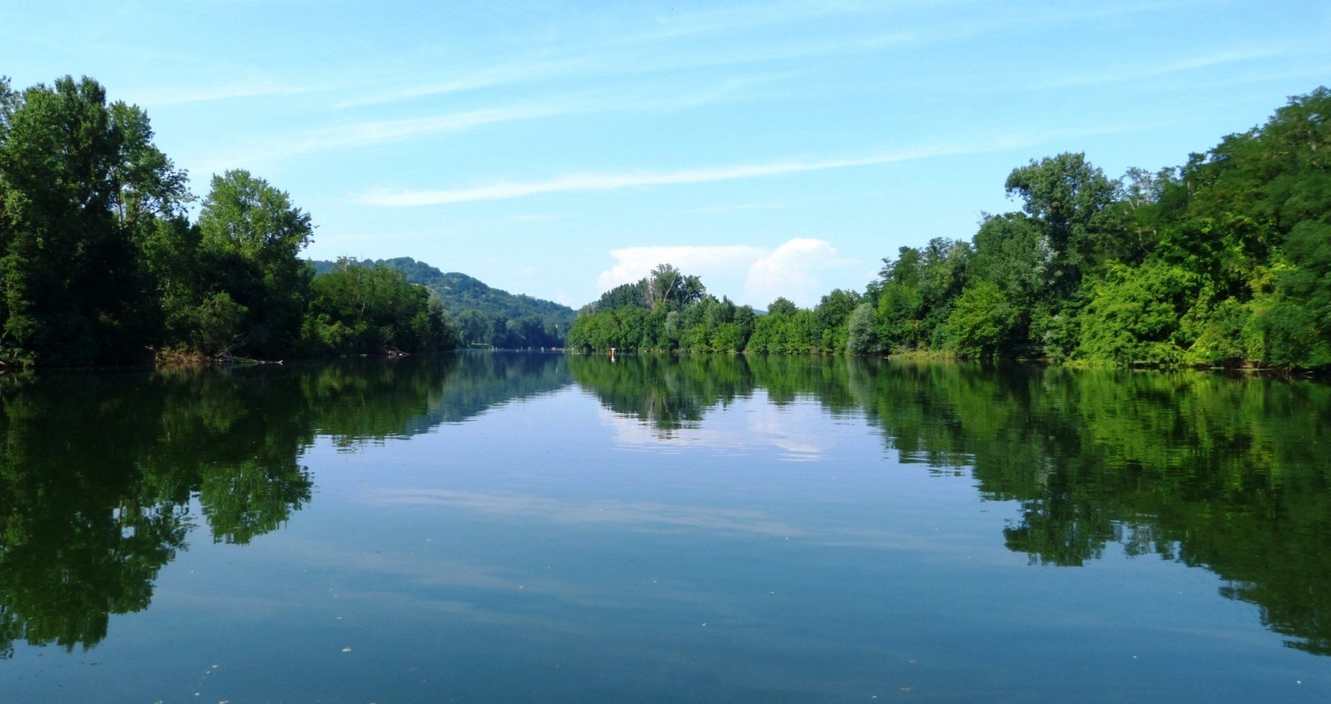 Cours d'eau et forêt