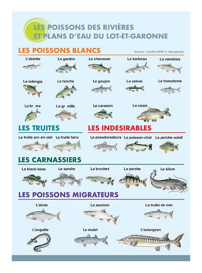 Liste de la faune piscicole du Lot-et-Garonne