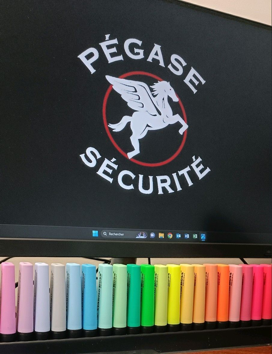 Logo de Pégase Sécurité sur ordinateur