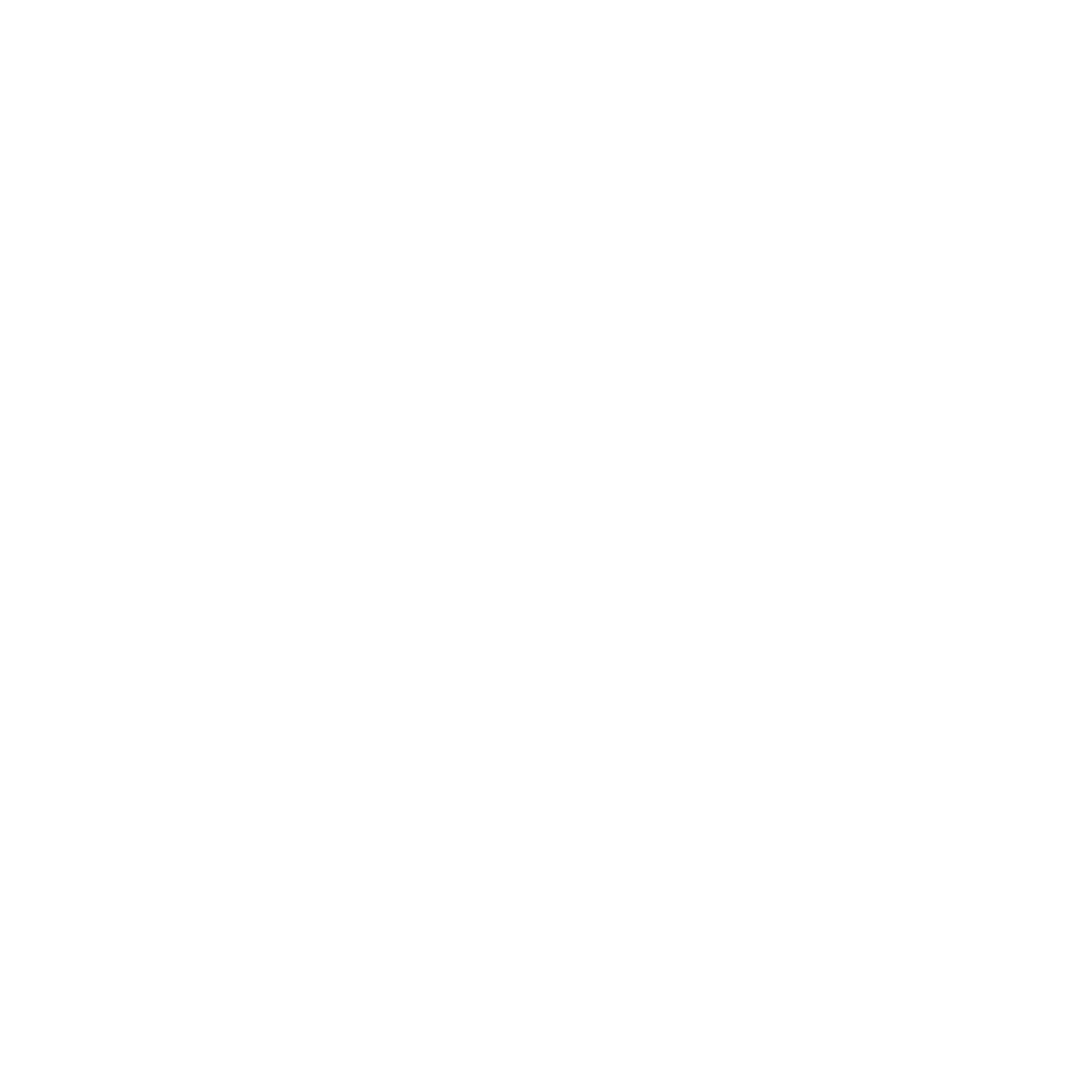 Feu d'artifice - accueil