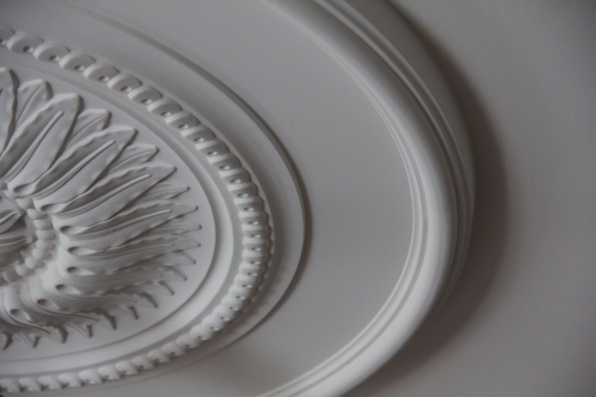 Gros plan sur un médaillon de plafond blanc orné de moulures circulaires superposées et de détails floraux.