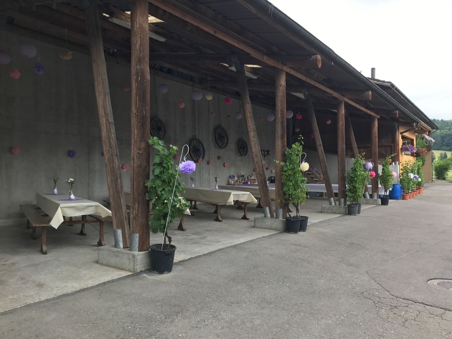 Apero Anlass Event - haugweine.ch - Weiningen ZH