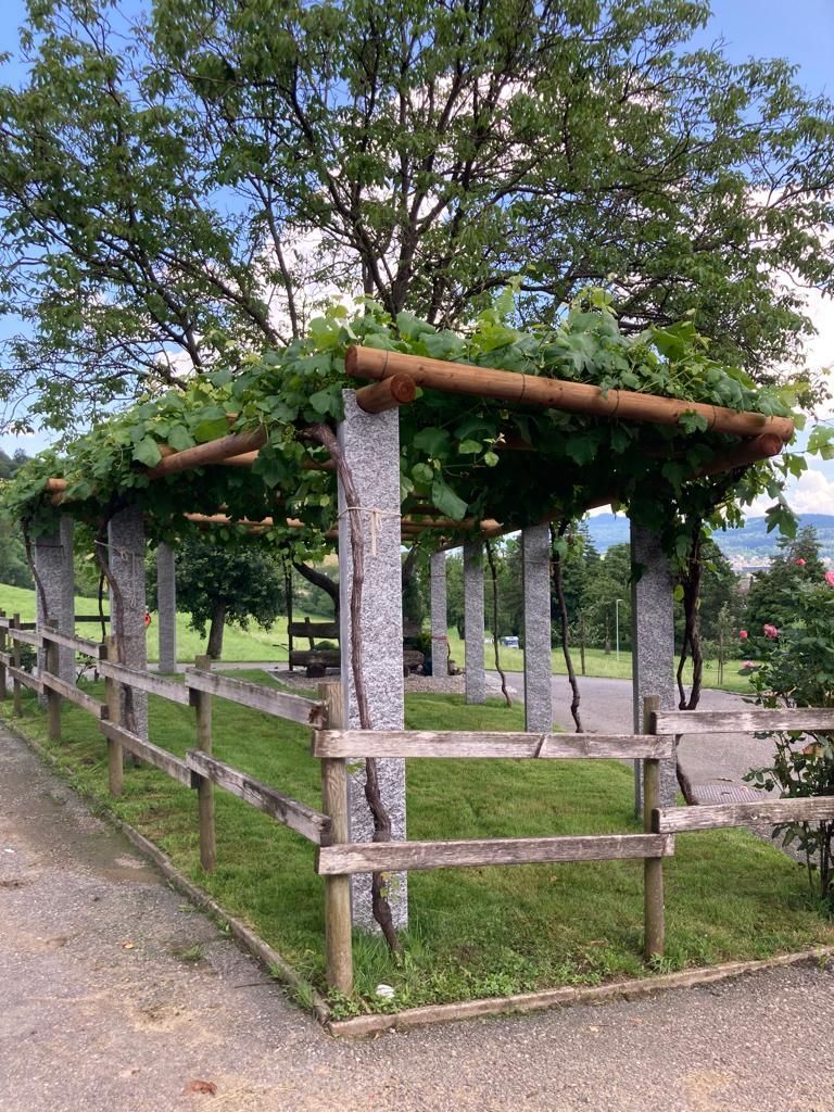 Weingut - haugweine.ch - Weiningen ZH