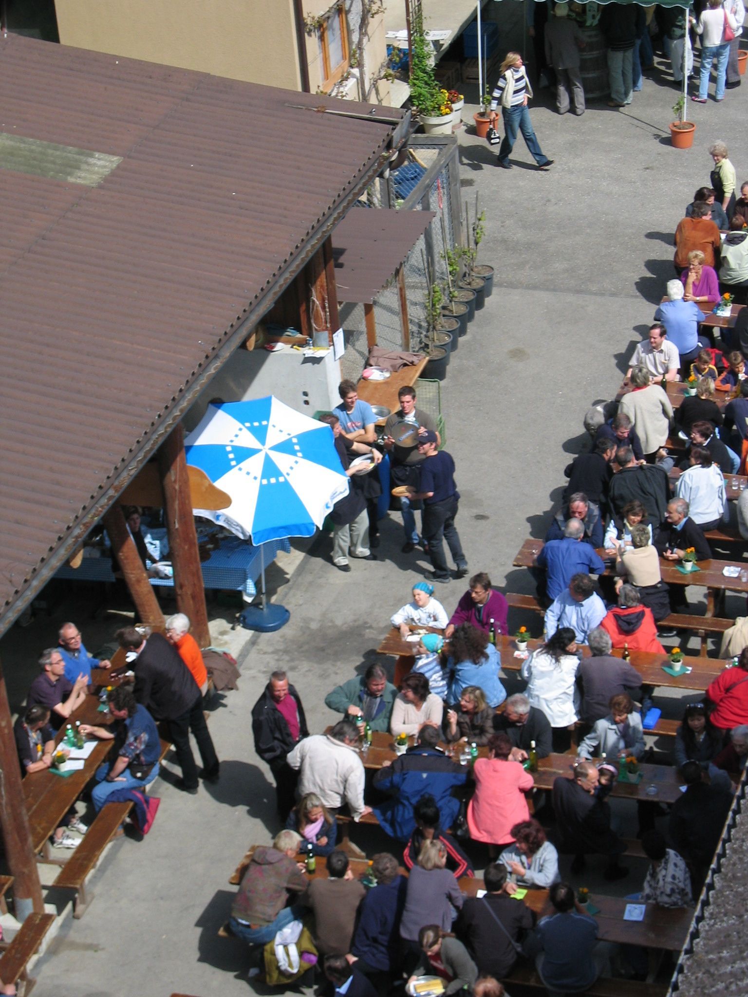 Apero Anlass Event - haugweine.ch - Weiningen ZH