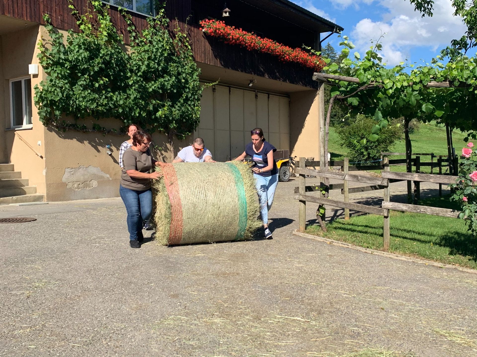 Apero Anlass Event - haugweine.ch - Weiningen ZH