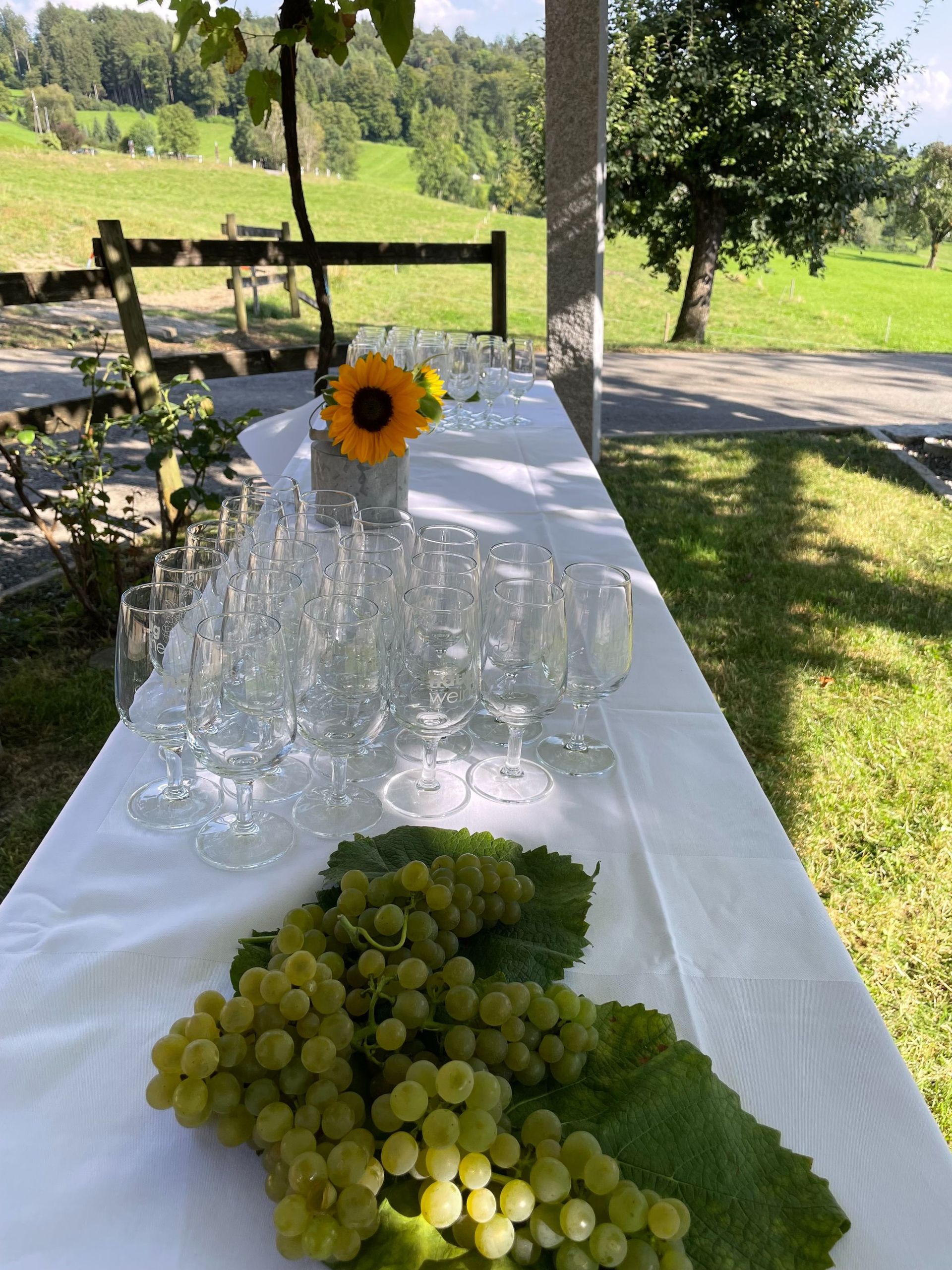 Apero Anlass Event - haugweine.ch - Weiningen ZH