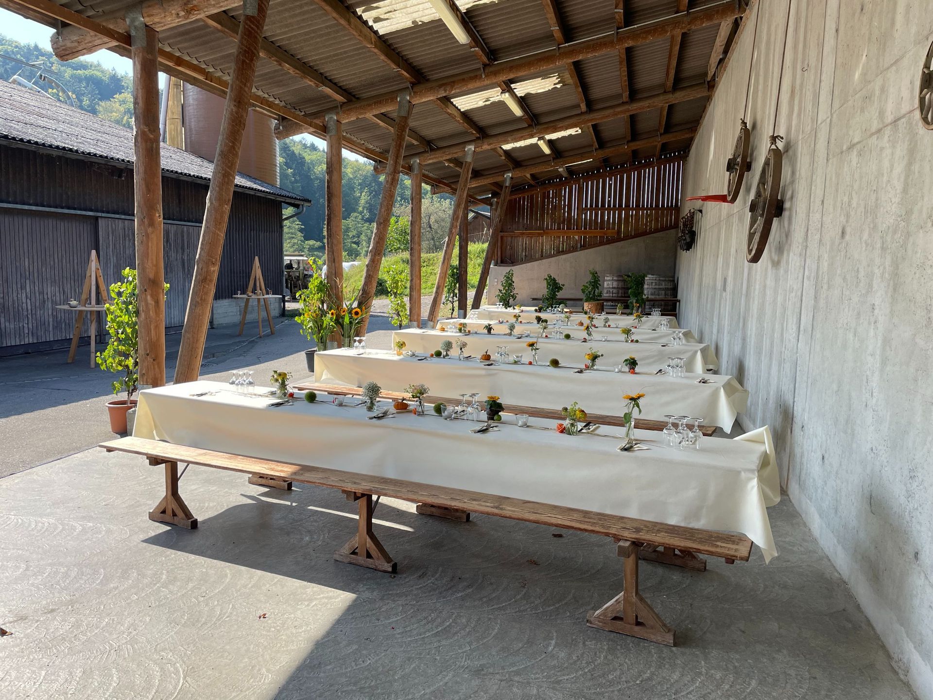 Apero Anlass Event - haugweine.ch - Weiningen ZH