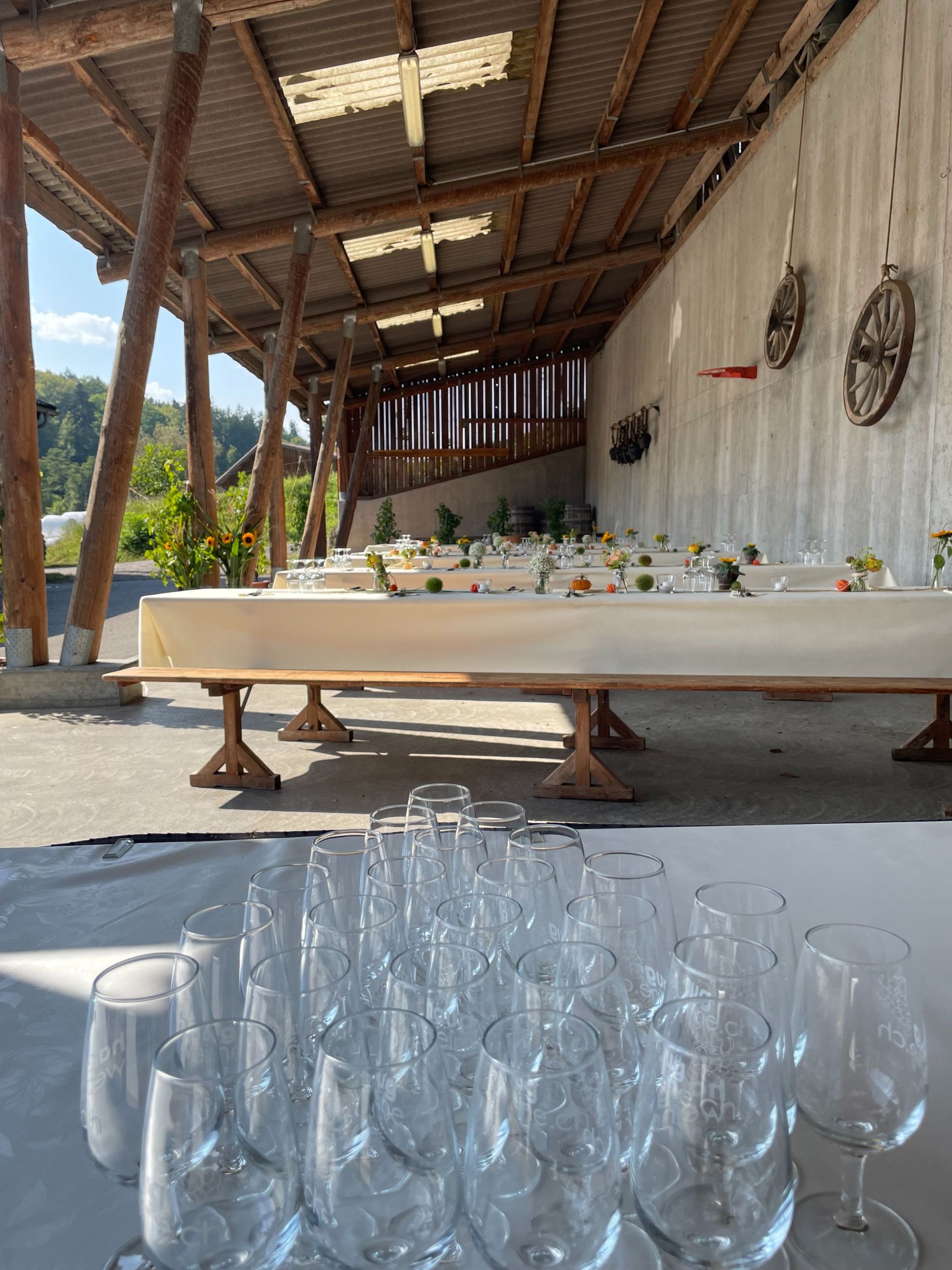 Apero Anlass Event - haugweine.ch - Weiningen ZH
