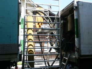 kanalsanierungen wasser - kansani ag - st. gallen